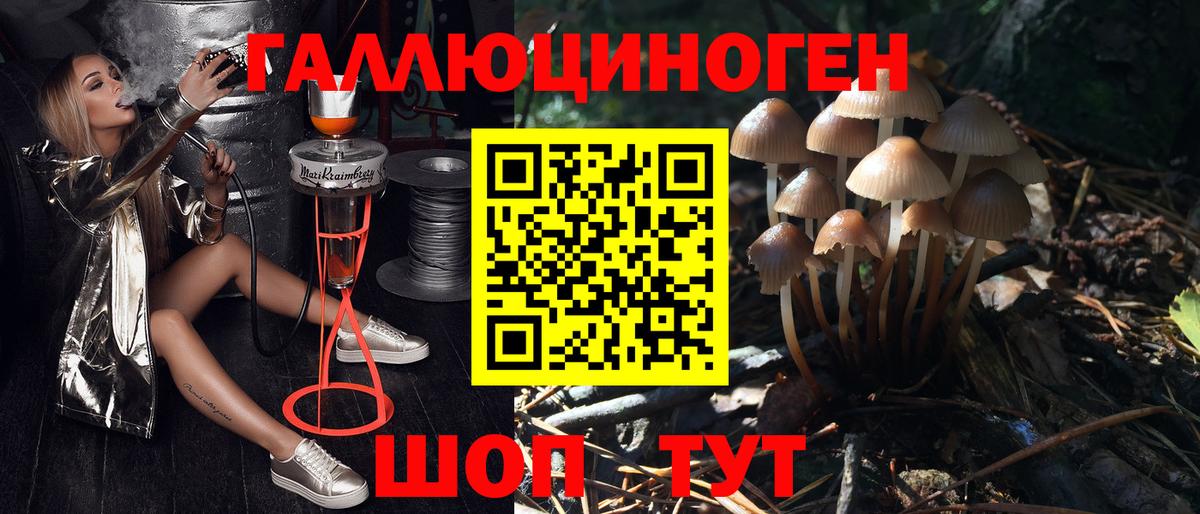 А ПВП СОЛЬ   Орск  Где купить наркотики?  Экстази  Вход с VPN  Лсд 25  Бошки Шишки  Меф МЯУ МЯУ   Каннабис  Cocaine  ГАШ 